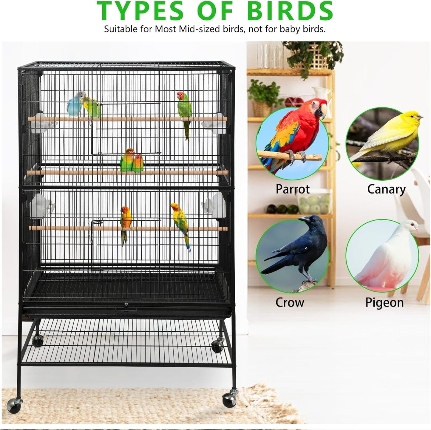 cage à oiseaux debout en fer forgé