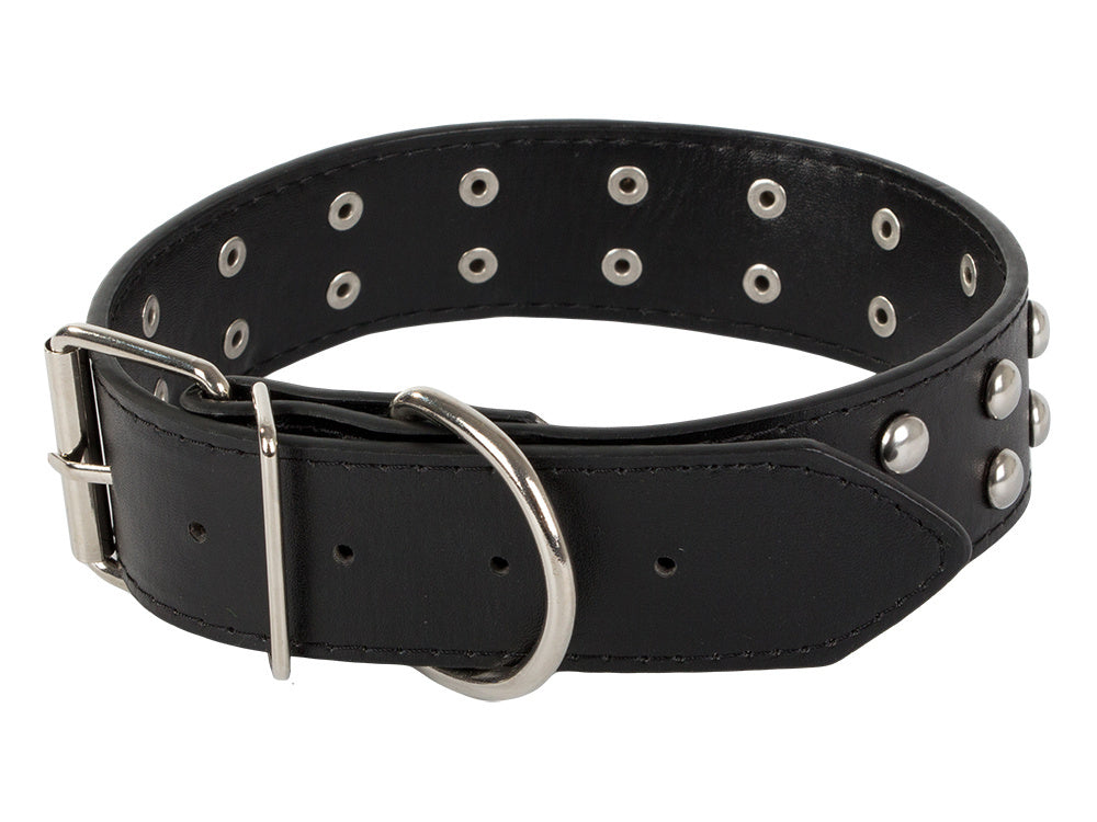 Collier chien clouté cuir eco réglable L