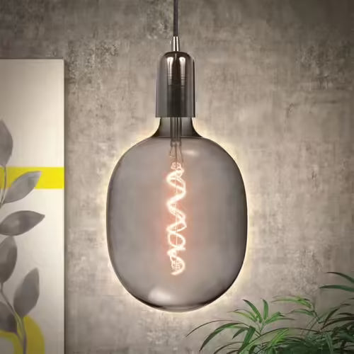 Ampoule Filaments LED "ovale" 6w Gris