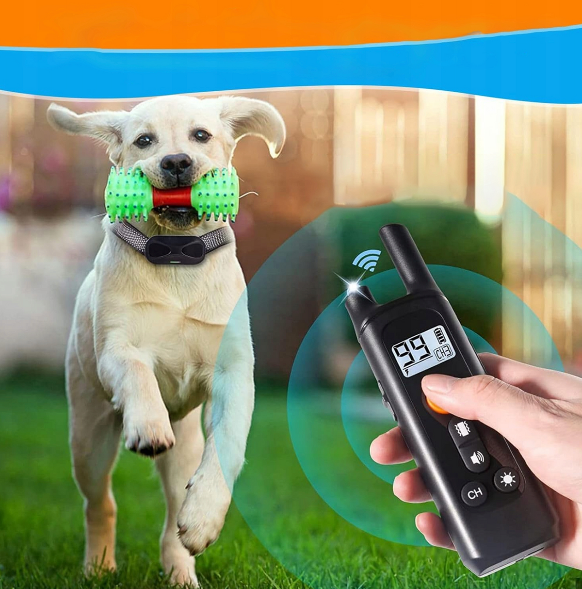 Collier de chien Entraînement électrique 800m Trains Batterie étanche