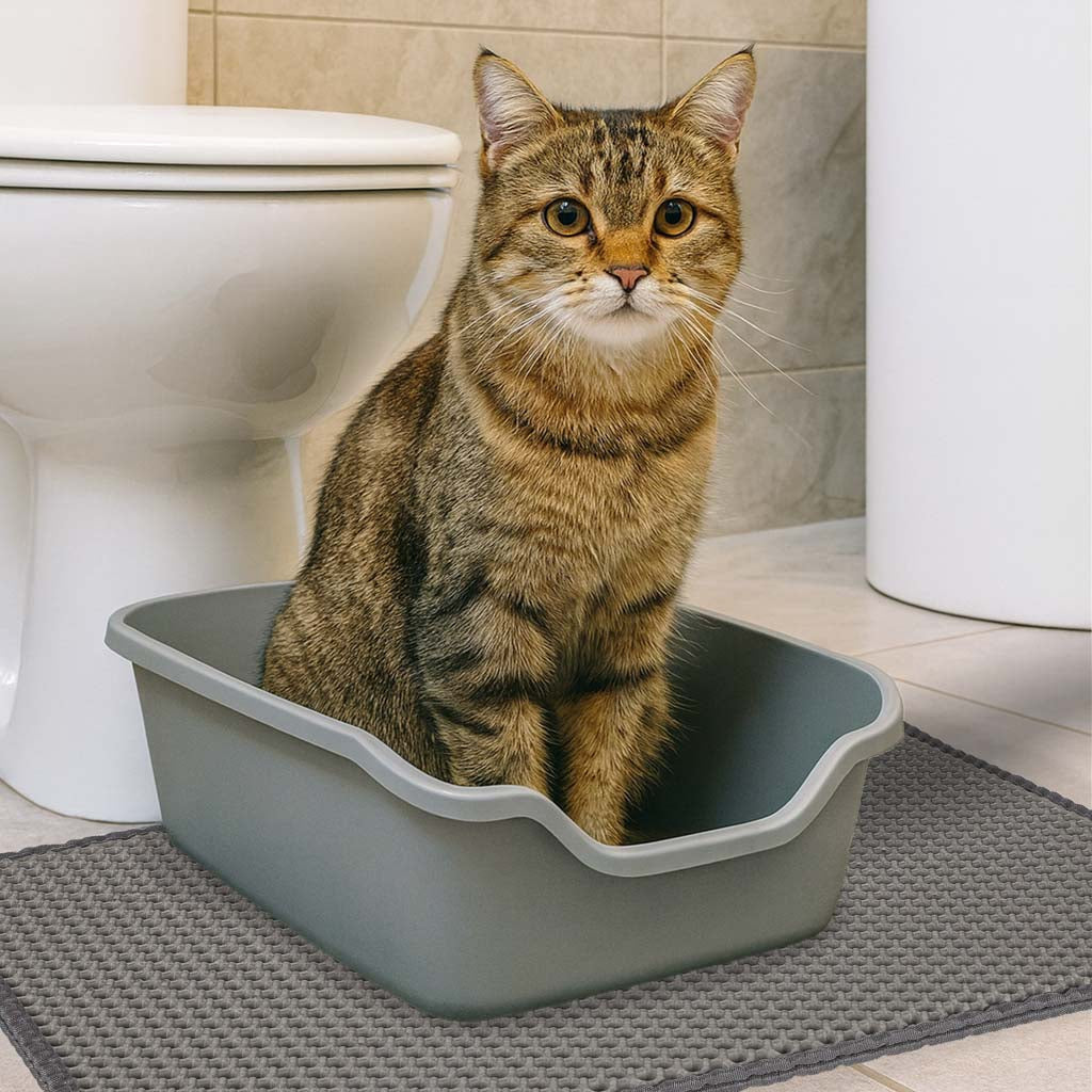 Litière pour chat tapis imperméable double couche 40x60cm