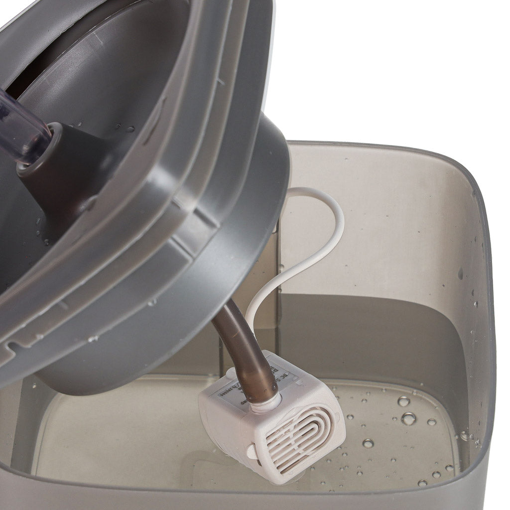 Fontaine pour chien de chat chien buveur automatique USB 2l filtre de nettoyage