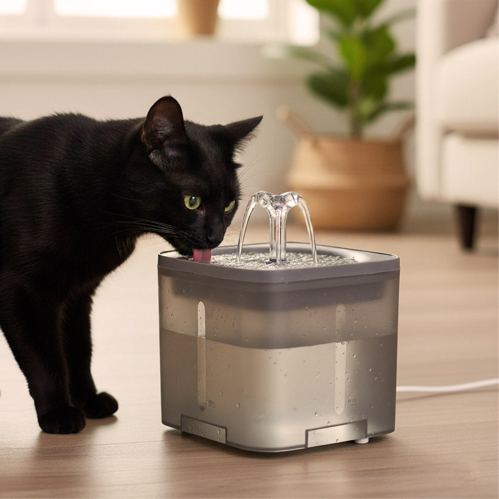 Fontaine pour chien de chat chien buveur automatique USB 2l filtre de nettoyage