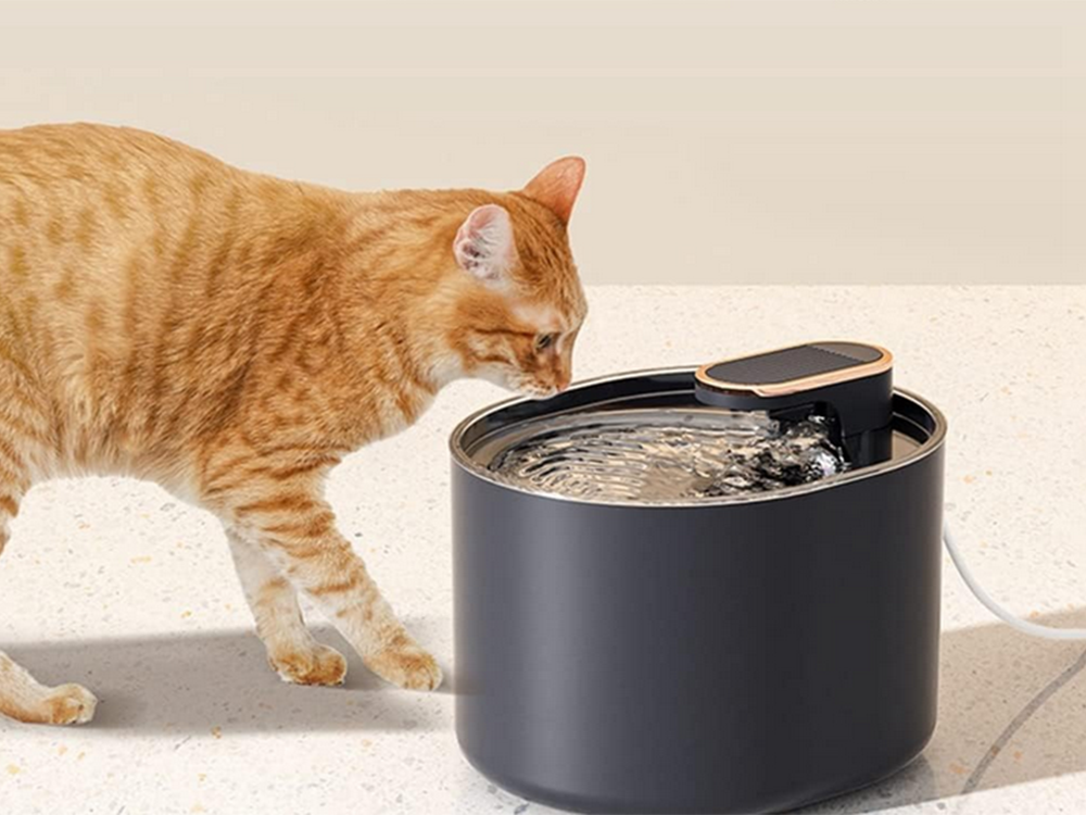 Abreuvoir automatique pour  chien et chat automatique bol d'eau