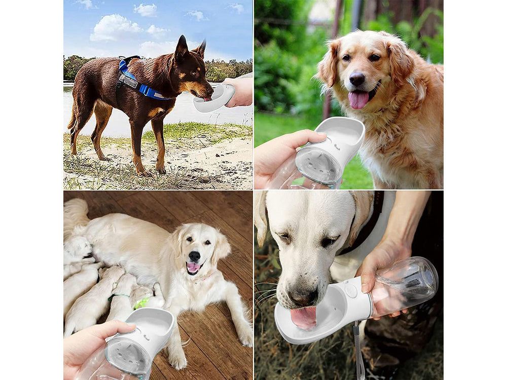 Bol à eau portable pour chien  380ml