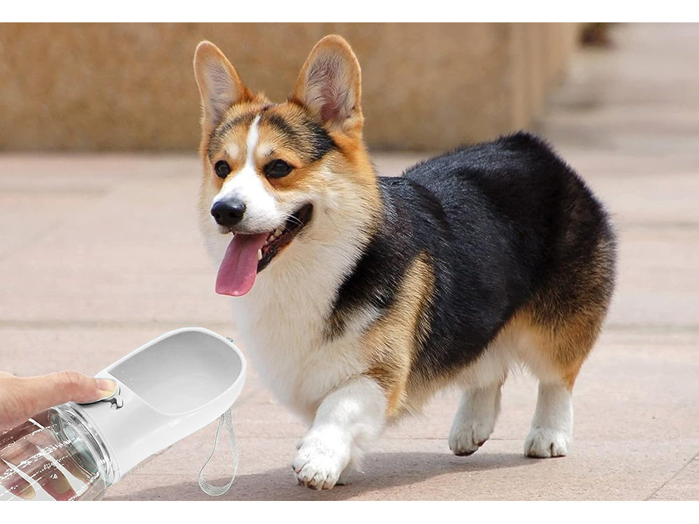 Bol à eau portable pour chien  380ml