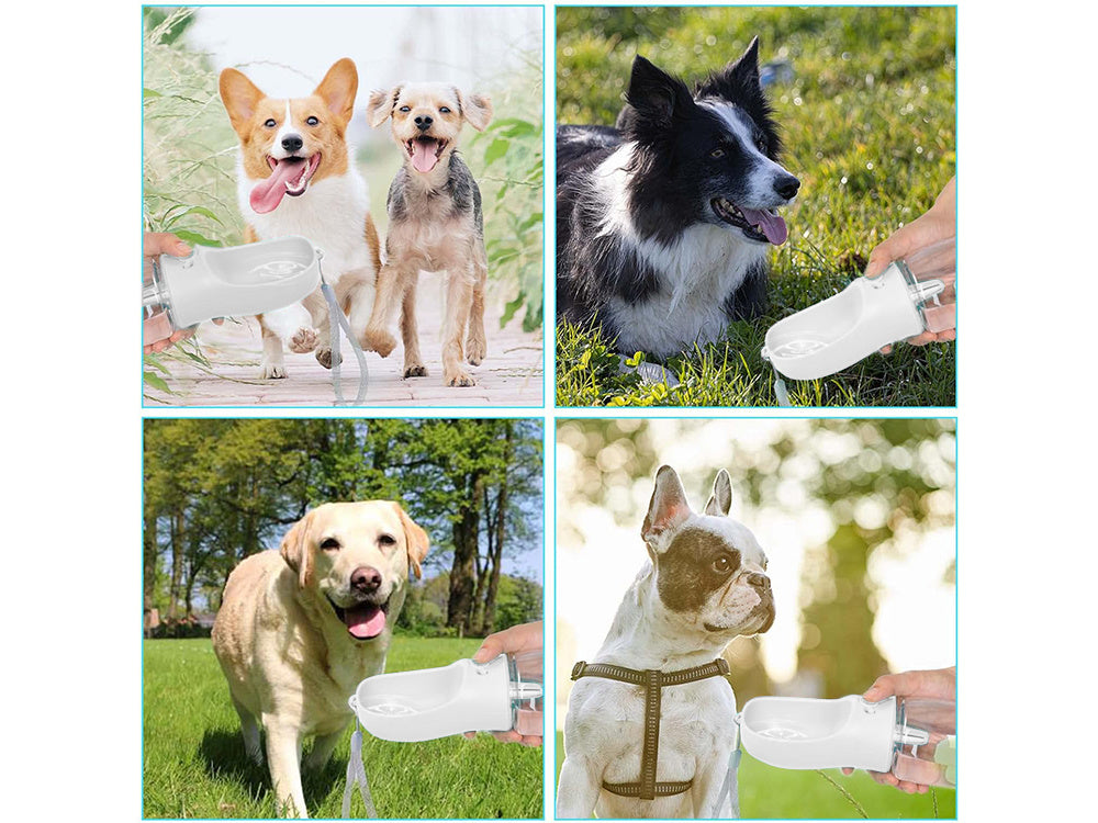 Bol à eau portable pour chien  380ml