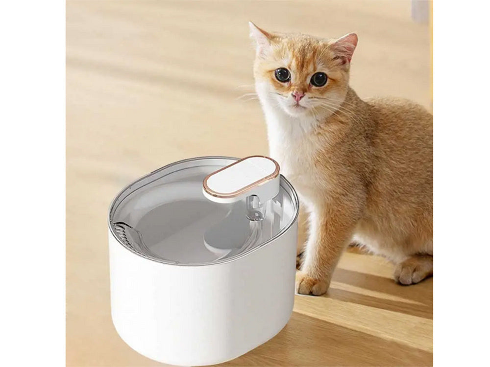Bol fontaine pour animaux- blanc