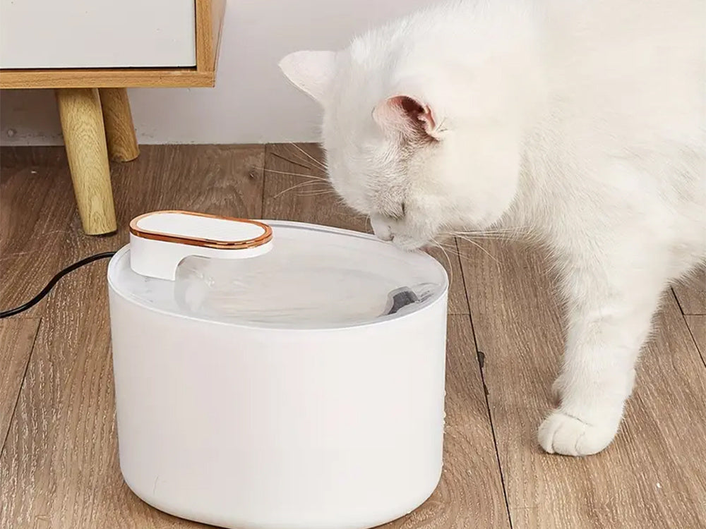 Bol fontaine pour animaux- blanc