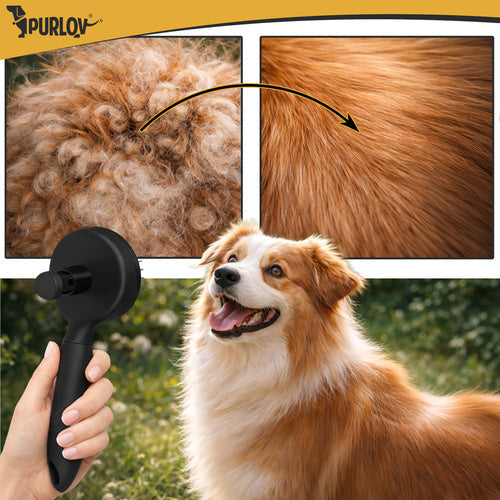 Brosse à fourrure autonettoyante noir purlov