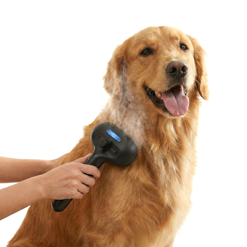 Brosse vapeur Purlov pour animaux de compagnie