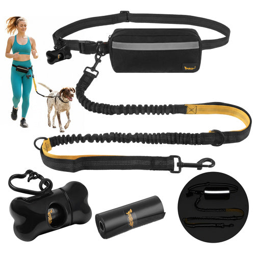 Ceinture avec laisse