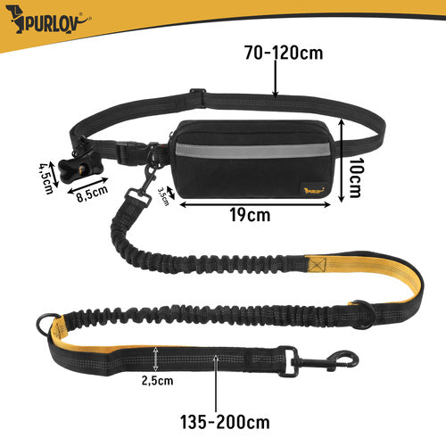 Ceinture avec laisse