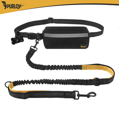 Ceinture avec laisse