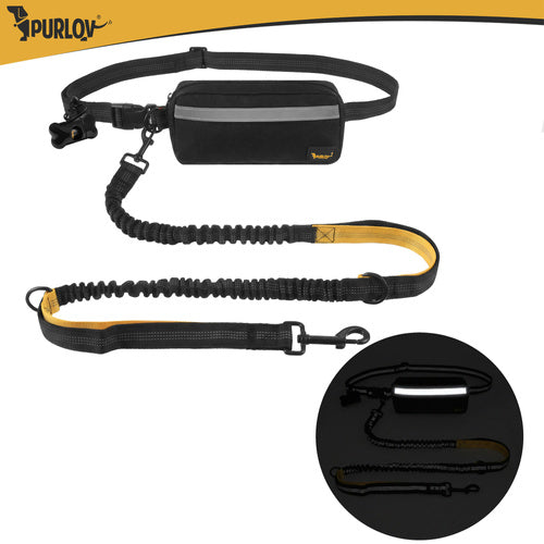 Ceinture avec laisse
