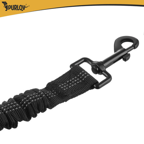 Ceinture avec laisse