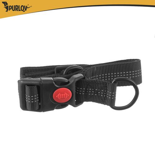 Ceinture avec laisse