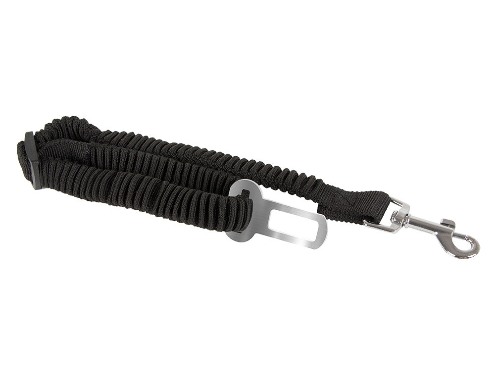 Ceinture de sécurité de voiture laisse pour chien élastique extensible forte