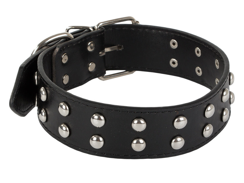 Collier chien clouté cuir eco réglable L