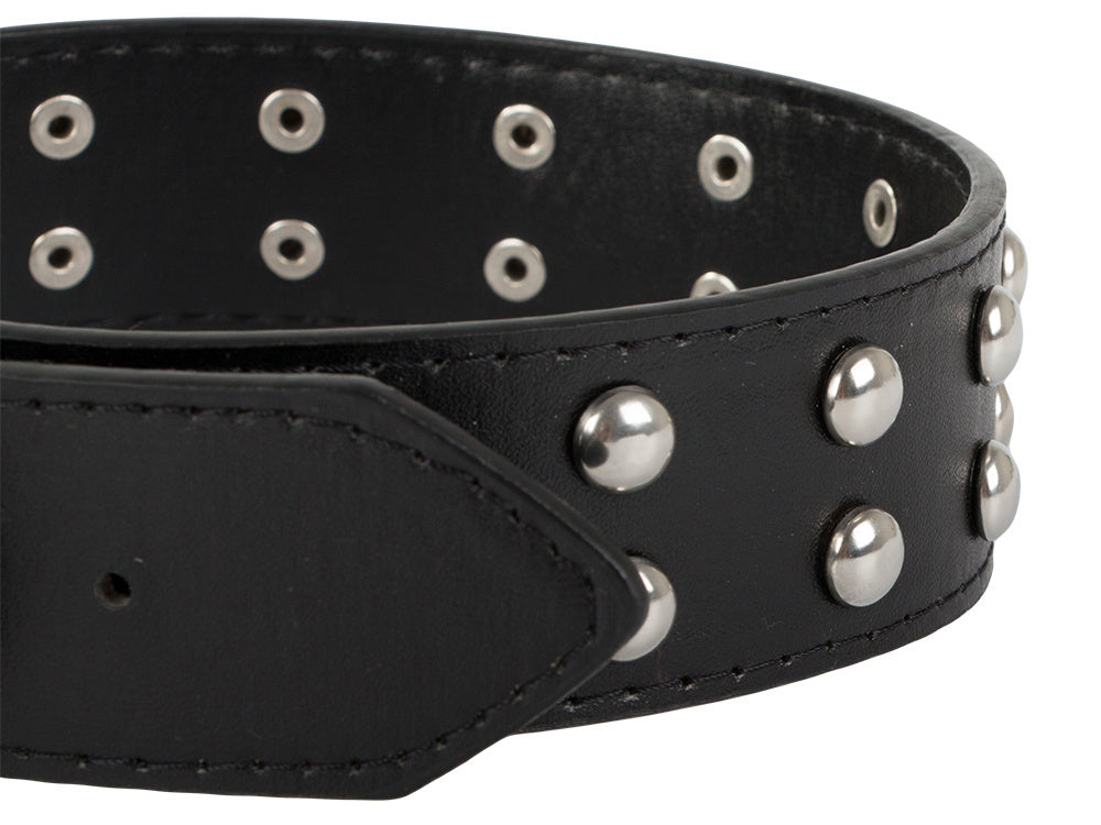 Collier chien clouté cuir eco réglable L