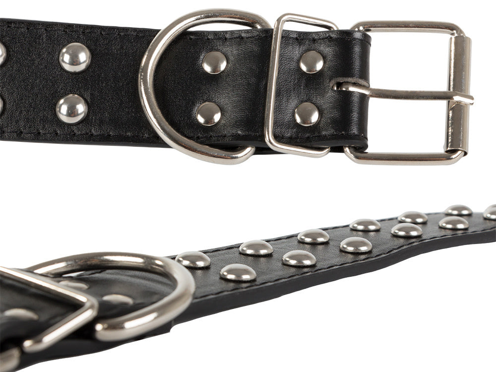 Collier chien clouté cuir eco réglable L