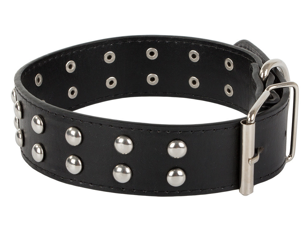 Collier chien clouté cuir eco réglable L