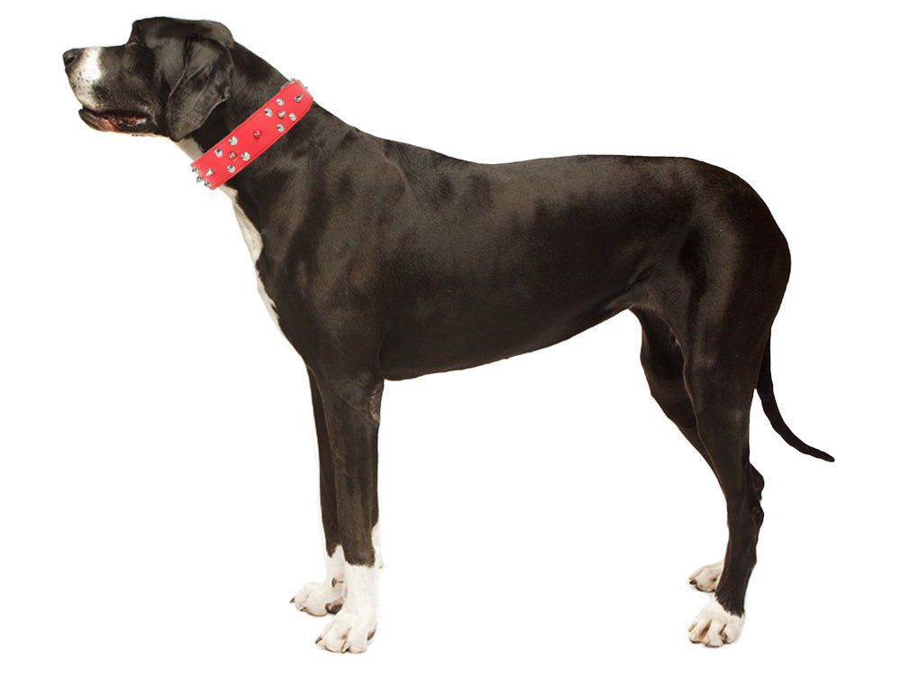 Collier chien clouté cuir eco réglable xl rouge