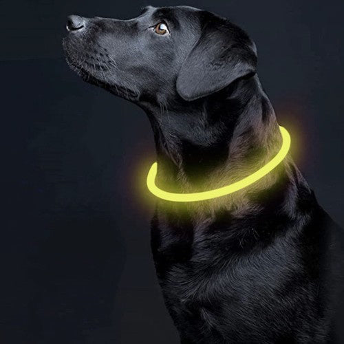 Collier réglable en lumière LED