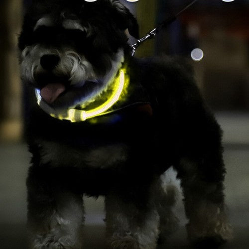 Collier réglable en lumière LED