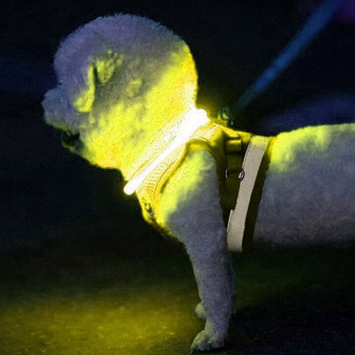 Collier réglable en lumière LED