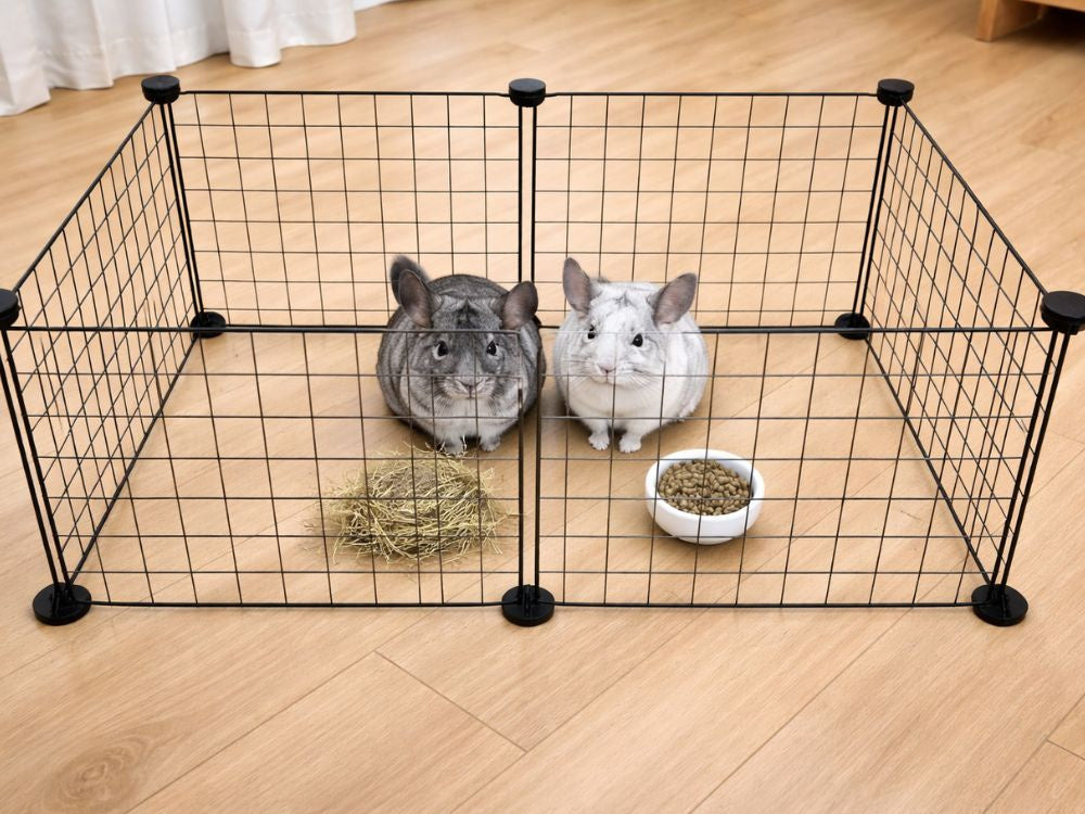 Enclos pour rongeurs – parcour modulaire pour lapins et hamsters