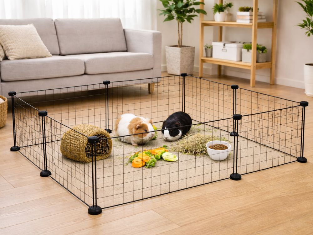 Enclos pour rongeurs – parcour modulaire pour lapins et hamsters