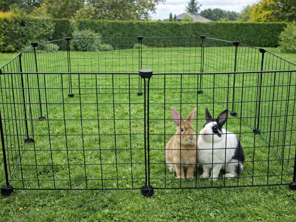 Enclos pour rongeurs – parcour modulaire pour lapins et hamsters