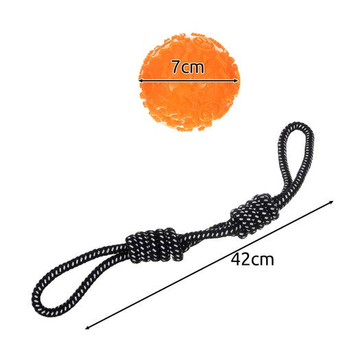 Ensemble de jouets pour chiens-10 pièces