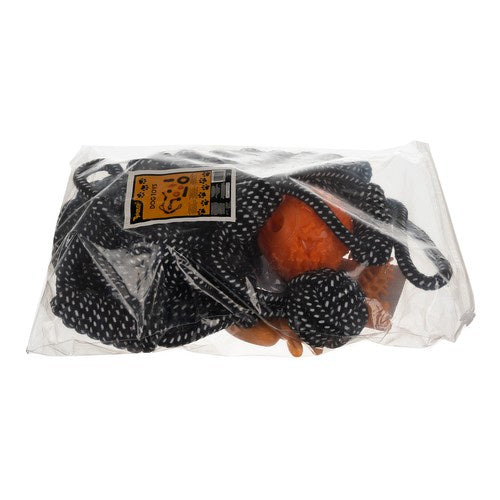 Ensemble de jouets pour chiens-10 pièces