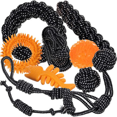 Ensemble de jouets pour chiens-10 pièces