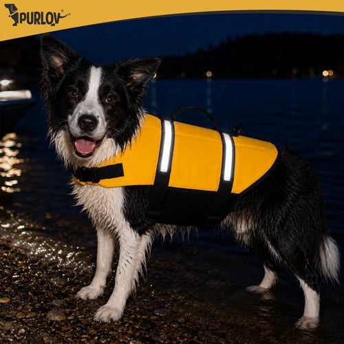 Gilet de sauvetage pour chien - Taille L Purlov