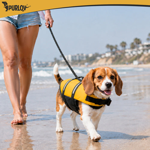 Gilet de sauvetage pour chien - Taille L Purlov