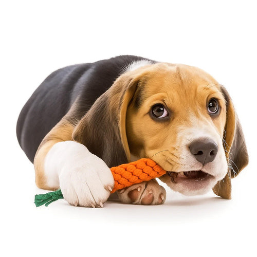ensemble jouet à mâcher pour chien, remorqueur -  25384