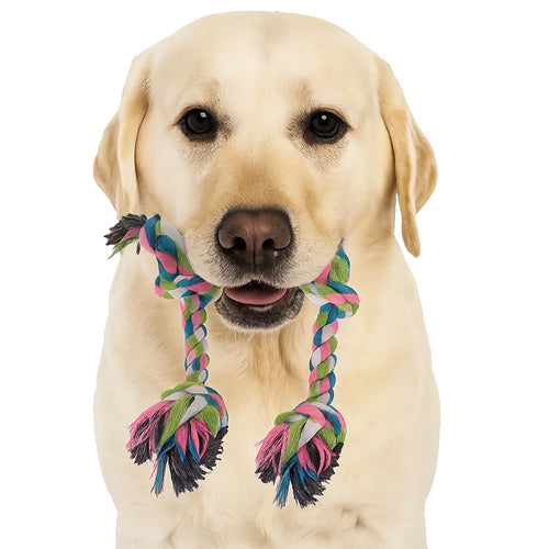 ensemble jouet à mâcher pour chien, remorqueur -  25384