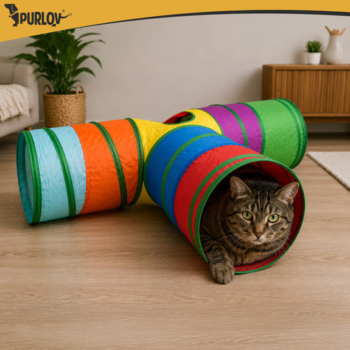 Jouet pour chat - Ensemble de 24 pièces Purlov