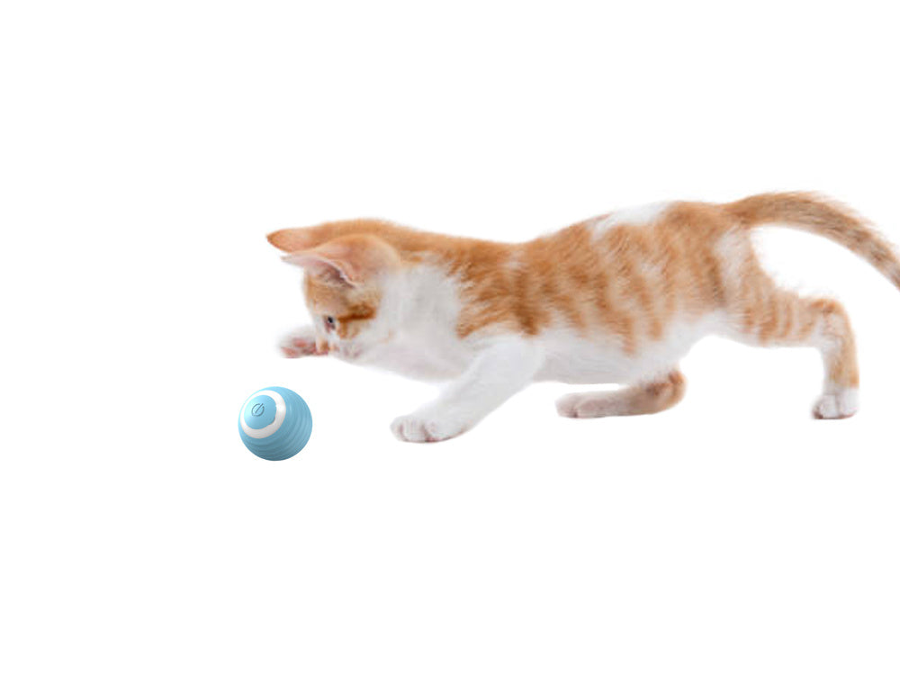 Jouet pour chat chien balle d'évasion balle électrique usb vibration led