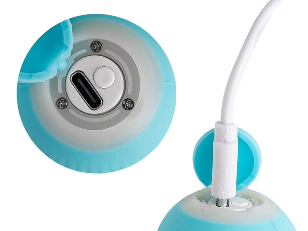 Jouet pour chat chien balle d'évasion balle électrique usb vibration led