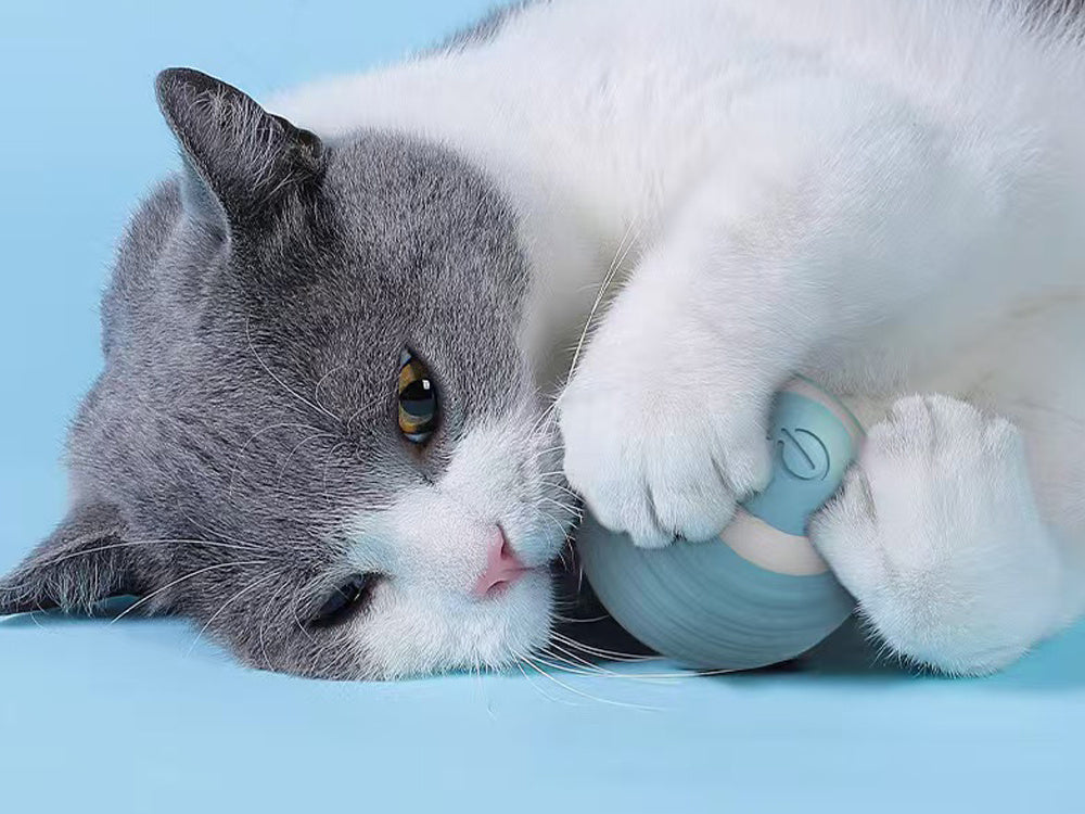 Jouet pour chat chien balle d'évasion balle électrique usb vibration led