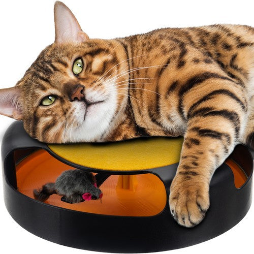Jouet pour chat - une roue avec une souris