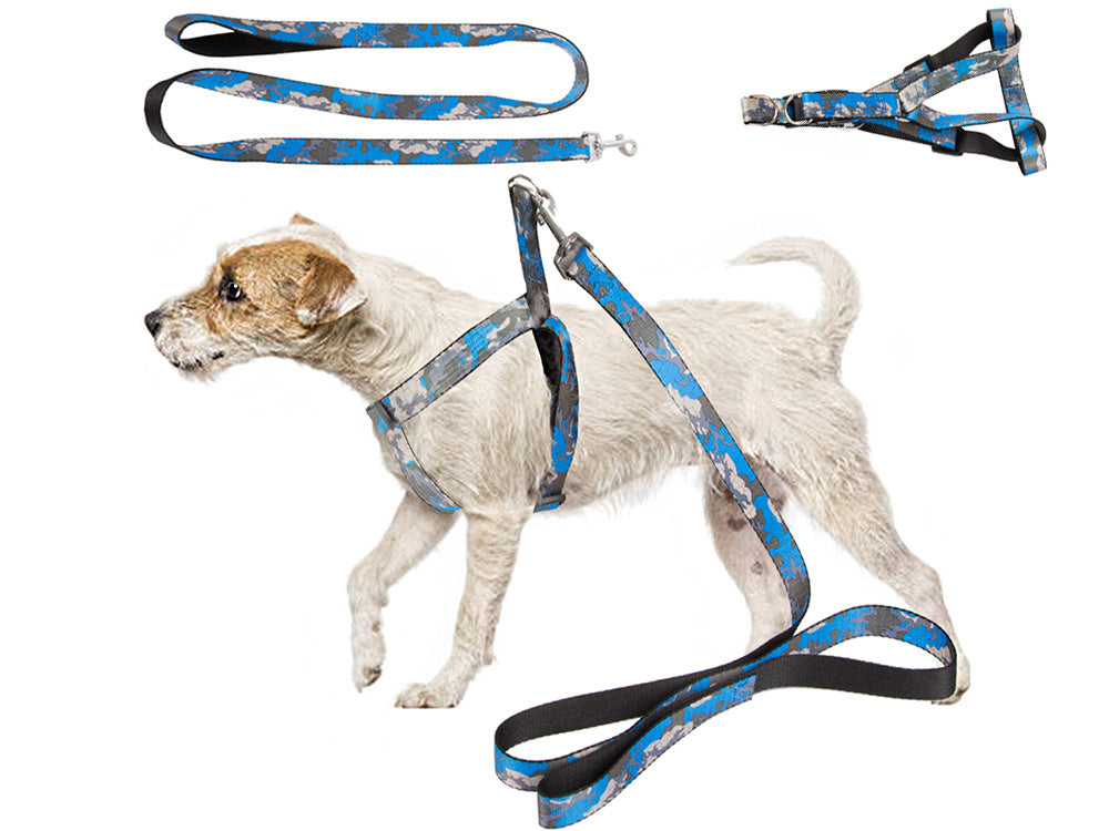 Laisse avec harnais harnais de marche pour chien chat taille ajustable confortable