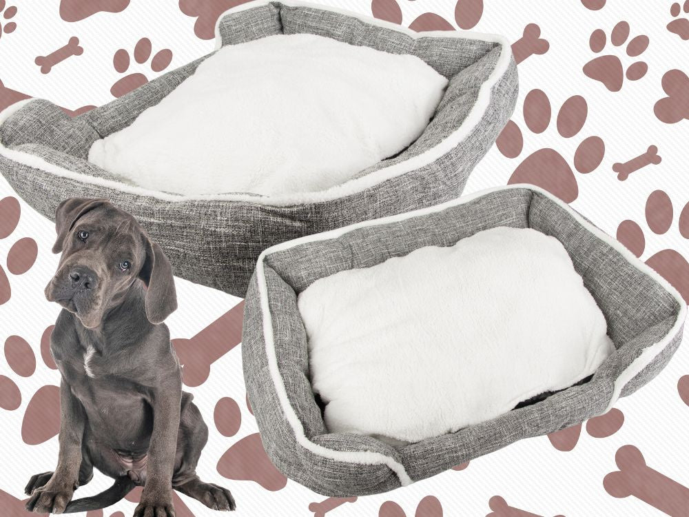 Lit pour chien doux et confortable avec coussin taille XL
