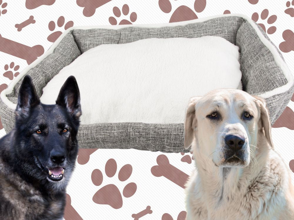 Lit pour chien doux et confortable avec coussin taille XL