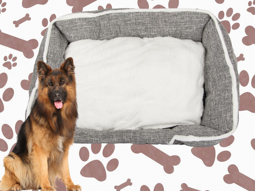 Lit pour chien doux et confortable avec coussin taille XL