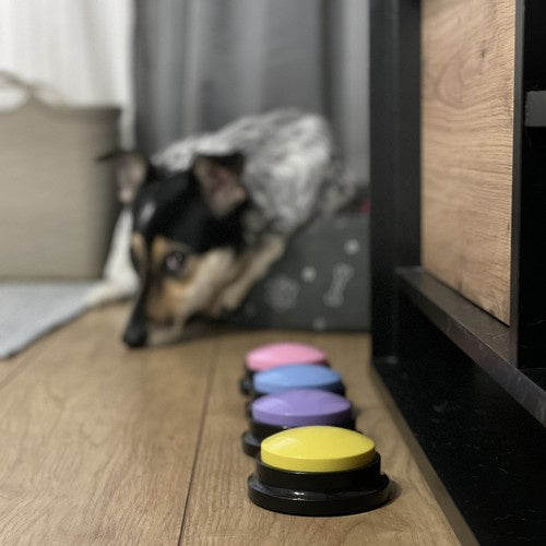 boutons sonores d'animaux